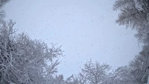 Snow falling on a camera lens in a winter forest time lapse Stock Footage 317718891
