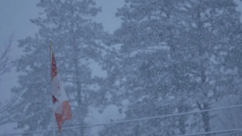 Snow Falling with Canada flag in the background 스톡 동영상 106940086
