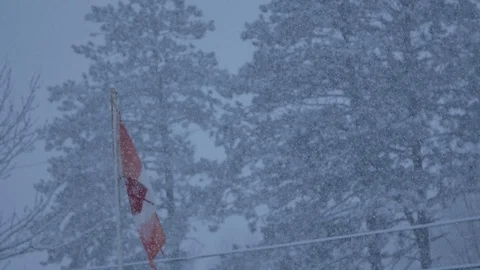 Snow Falling on Canada flag 스톡 동영상 106940067