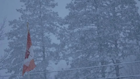 Snow Falling on Canada Flag 스톡 동영상 106940419