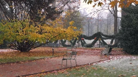 Snow falling on the chairs and paths of the Jardin du Luxembourg in Paris Stock Footage 314716859