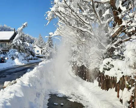 Snow falling from the cherry trees after tree branches heavy from covered snow Foto stock