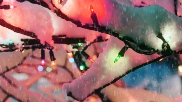 Snow Falling Christmas Lights Stock Footage 85480653