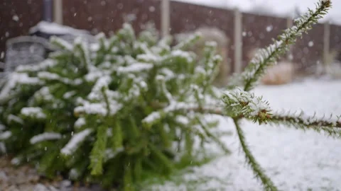 Snow falling on Christmas tree laying on the ground. Stock Footage 145921504