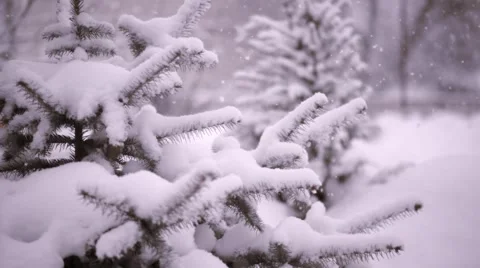 Snow falling on Christmas tree, slow motion Stock Footage 60416366