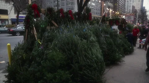 Snow Falling at a Christmas Tree Stand in New York City Stock Footage 58329119