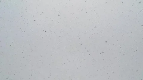 Snow is falling in the city. The atmosphere of cold and winter. Stock Footage 264036138