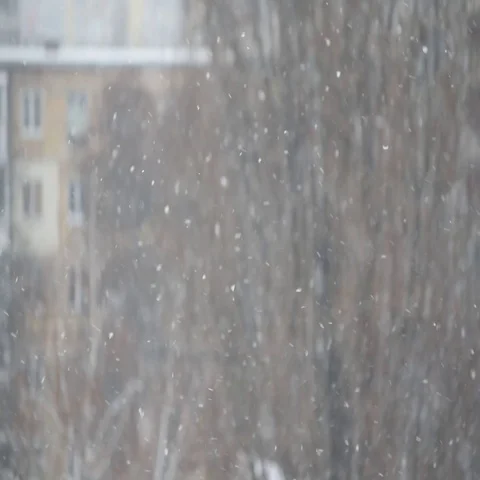 Snow falling in city on blurred background Stock-Footage 69445973