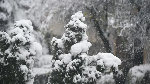 Snow falling in the city during winter. Winter snowfall. Trees Stock Footage 321618937