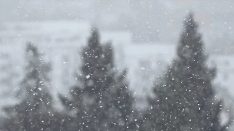 Snow falling in the city Stock Footage 86365869