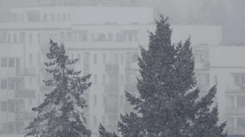 Snow falling in the city Stock-Footage 86366552