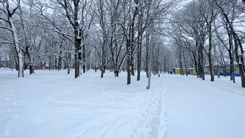 Snow falling in a city park. Concept of winter, snowfall, urban nature Stock Footage 288401369