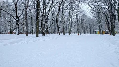 Snow falling in a city park. Concept of winter, snowfall, urban nature Stock Footage 288401410