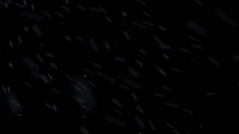 SNOW falling on clean black background - 2K LOOP 動画素材 143596379