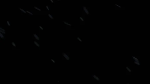 SNOW falling on clean black background - 2K LOOP 動画素材 143596389