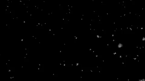 Snow Falling Close- Medium Shot - Seamless Loop Stock Footage 120873092