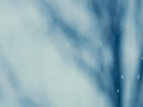 Snow falling close up slow motion shot on RED EPIC Video stock 84918323