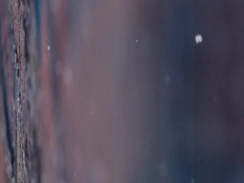 Snow falling close up slow motion RED EPIC Video stock 84918535