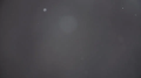 Snow Falling Close Up In Super Slow Motion Stock Footage 33864957