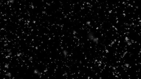 Snow Falling Close - Thick and Slow - Alpha Channel - Seamless Loop Stock Footage