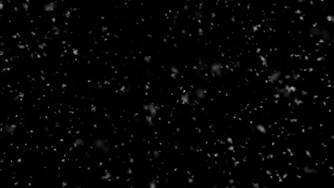 Snow Falling Close - Thick and Slow - Medium Shot - Loop Stock Footage 120874025