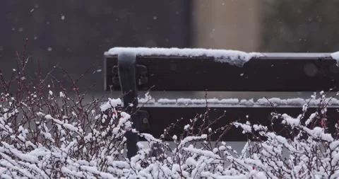 Snow falling in a cloudy city in slow motion Video stock 302550969