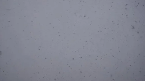Snow falling on cloudy day Stock Footage