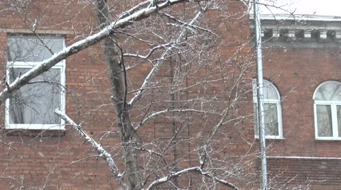 Snow falling cold winter day Stock Footage 41309260