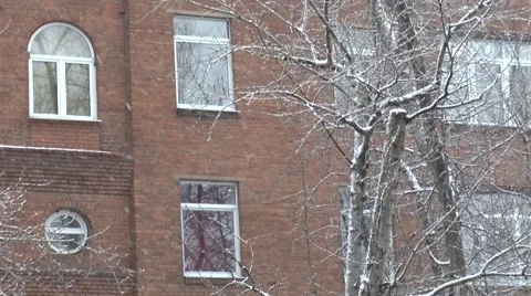 Snow falling cold winter day Stock Footage 41309576
