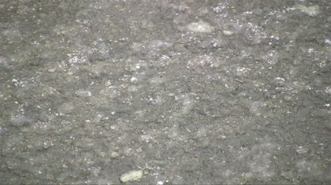 Snow falling on concrete path and melting Stock Footage 35050784