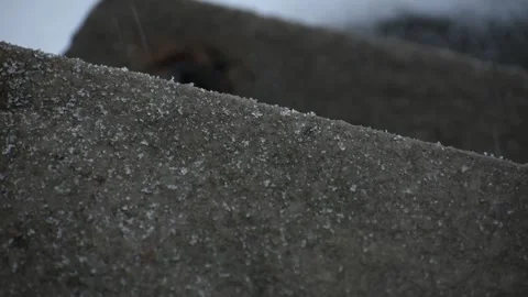 Snow Falling on Concrete Steps During Snow Storm, Snowflakes, Snow falling Video stock 148180249