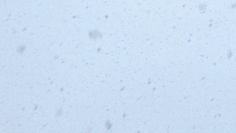 Snow Falling From Cool White Sky Maximum Rate 스톡 동영상 104168395