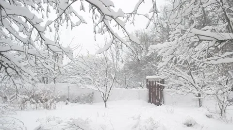 Snow falling in countryside on background of wicket and trees Stock Footage 47000147