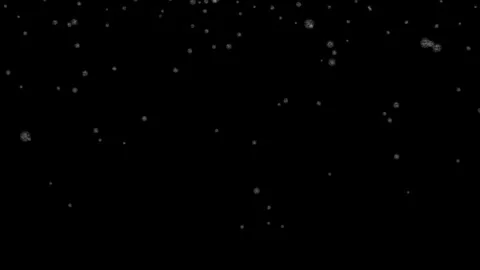 Snow falling day video background Stock Footage 242866039