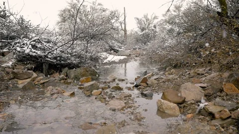 Snow Falling on a Desert Creek in Slow Motion Stock Footage 105031568