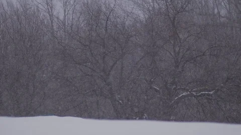 Snow falling dots background Slow motion video Stock Footage 98490355