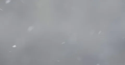 Snow falling down beautifully against blurred background : 4K footage Stock Footage 71370017