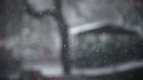 Snow falling down during a blizzard Видео 268621759