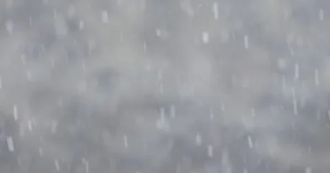 Snow falling down heavily against forest trees : 4K footage Stock Footage 71369249