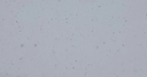Snow falling down heavily against gray sky  Stock Footage 71663411