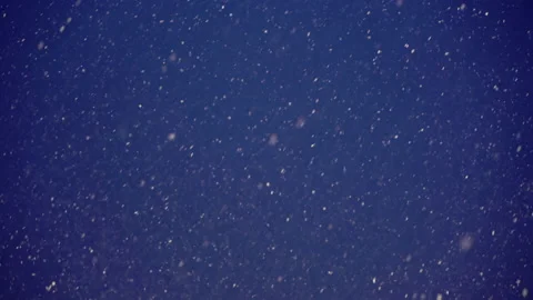Snow falling down at night. Blue dark sky at winter. Snowfall. Background. Vídeo Stock 168711939