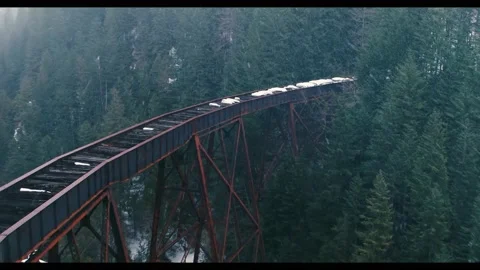 Snow falling down on old bridge in forest Stock Footage 218273471