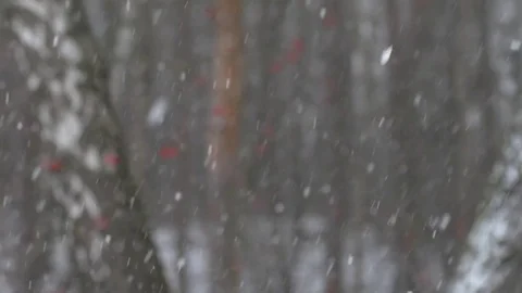 Snow falling down over the city Stock Footage 72606668