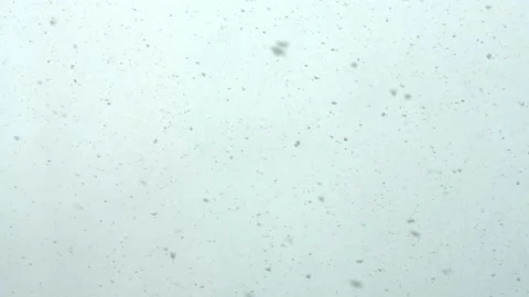 Snow falling down in real time. Heavy snow, Stock Footage 154371196