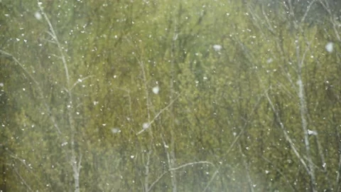 Snow falling down in real time. Focus on the snow. Stock Footage 154371856