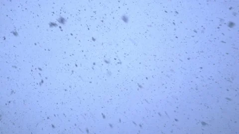 Snow falling down in the sky. Snowstorm or blizzard. Stock Footage 158730460