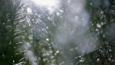 Snow Falling Down in Slow Motion Forming Halo Around it Against Rays of Sun Stock Footage 148778105