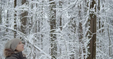 Snow falling down from tree branch Stock Footage 146276830