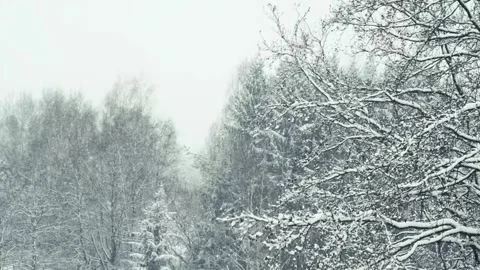 Snow is falling down in winter Stock Footage 146168382