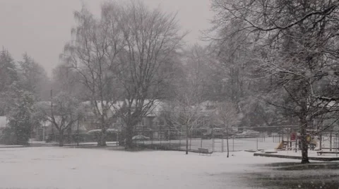 Snow falling in an empty park Stock Footage 59111179